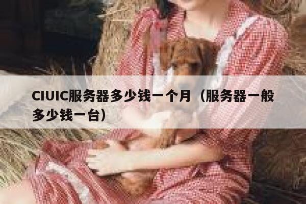 CIUIC服务器多少钱一个月（服务器一般多少钱一台）