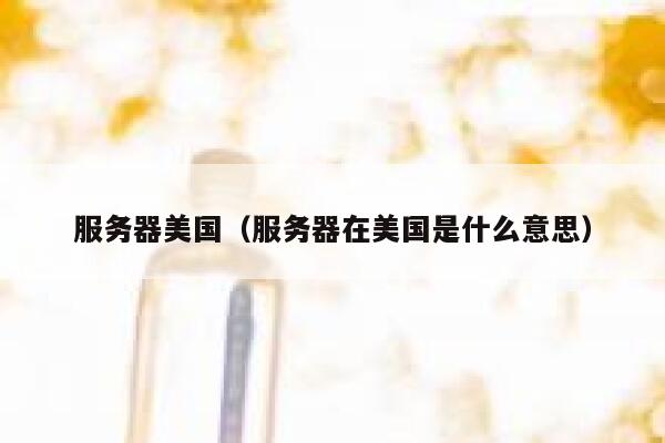 服务器美国（服务器在美国是什么意思）