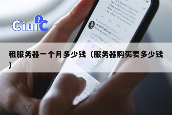 租服务器一个月多少钱(服务器购买要多少钱)