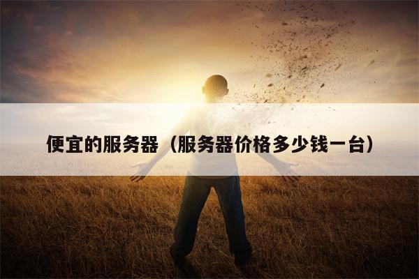 便宜的服务器(服务器价格多少钱一台)