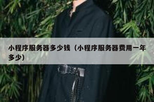 小程序服务器多少钱(小程序服务器费用一年多少)