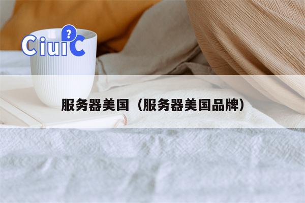 服务器美国(服务器美国品牌)