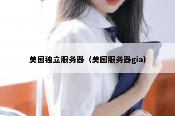 美国独立服务器(美国服务器gia)