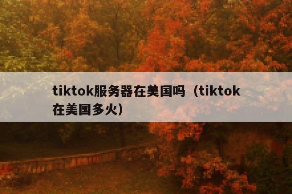 tiktok服务器在美国吗（tiktok在美国多火）