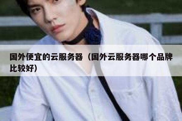 国外便宜的云服务器（国外云服务器哪个品牌比较好）