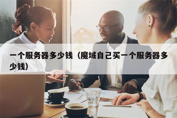 一个服务器多少钱（魔域自己买一个服务器多少钱）
