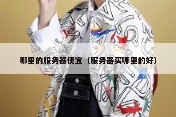 详细阅读:哪里的服务器便宜(服务器买哪里的好) 哪里的服务器便宜(服务器买哪里的好)