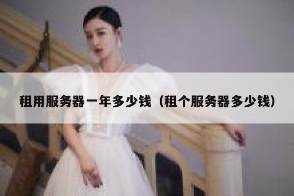 租用服务器一年多少钱（租个服务器多少钱）
